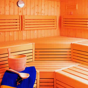 Sauna Dijon, Vente et installation